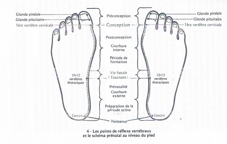 massage métamorphique lyon