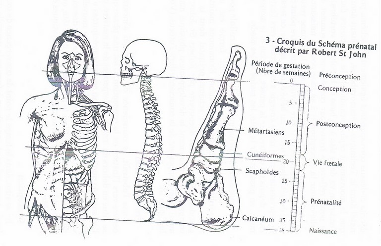 massage métamorphique lyon 6