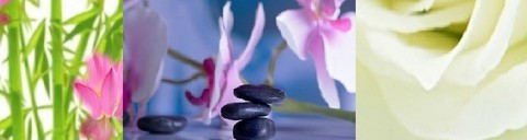 brigitte-massage-chinois