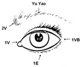 do-in-lyon 6-brigitte-garnier